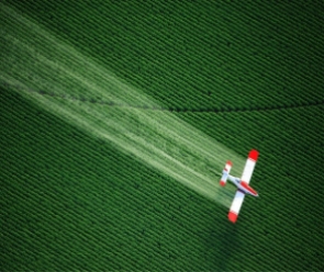 Glyphosate
