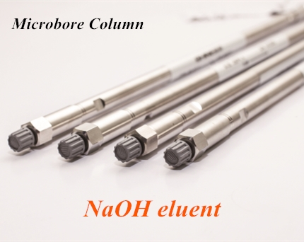 SH-AC-19 Anion Column