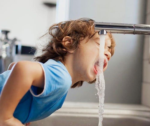 Determination of Chlorite, Chlorate and Bromate in Tap Water