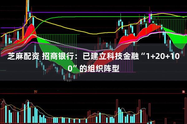 芝麻配资 招商银行：已建立科技金融“1+20+100”的组织阵型