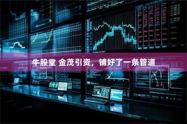 牛股堂 金茂引资，铺好了一条管道