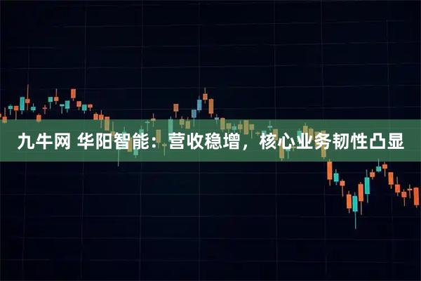 九牛网 华阳智能：营收稳增，核心业务韧性凸显