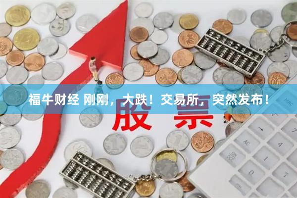 福牛财经 刚刚，大跌！交易所，突然发布！