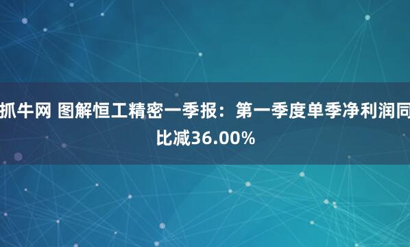 抓牛网 图解恒工精密一季报：第一季度单季净利润同比减36.00%