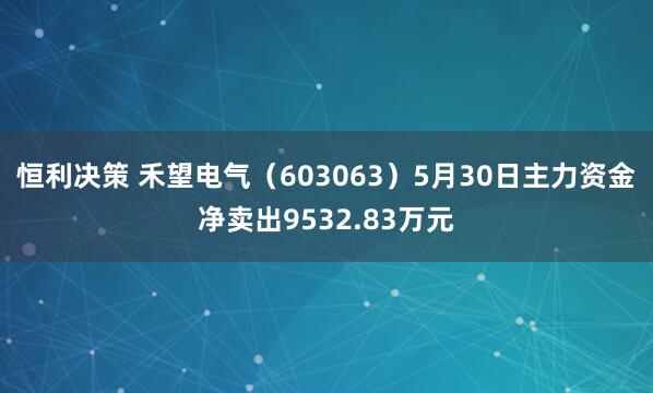 恒利决策 禾望电气（603063）5月30日主力资金净卖出9532.83万元