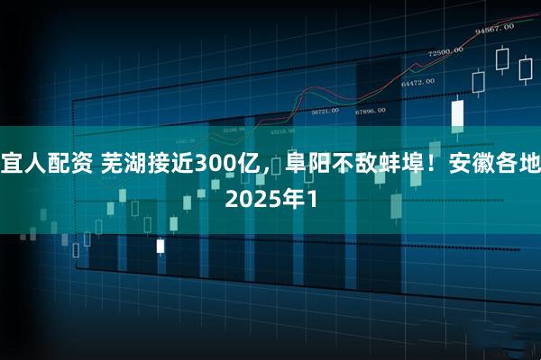 宜人配资 芜湖接近300亿，阜阳不敌蚌埠！安徽各地2025年1